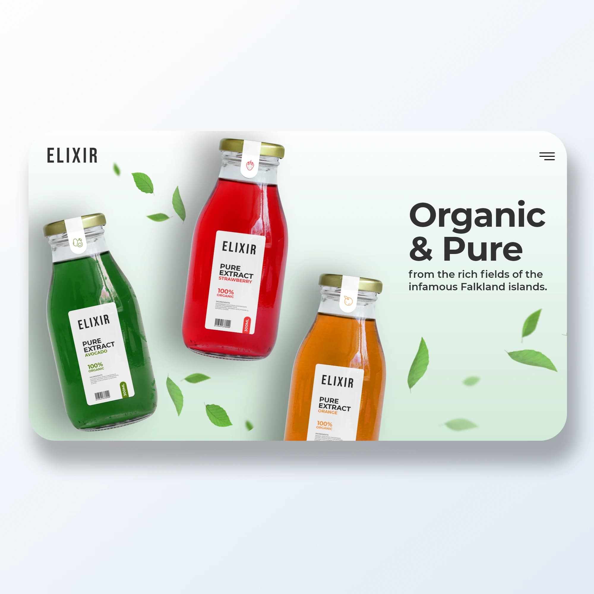 ELIXIR